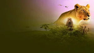 Serengeti, la grande cavalcade des animaux (Chaleurs extrêmes) S3 (5/6)
