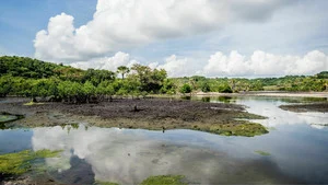 Koh-Lanta S29