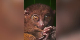 Défense de nourrir les animaux