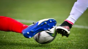 Atlético Madrid / Bayern Munich