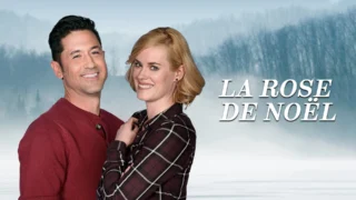La rose de Noël