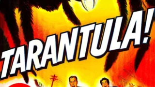 Tarantula