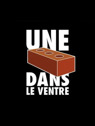 Une brique dans le ventre