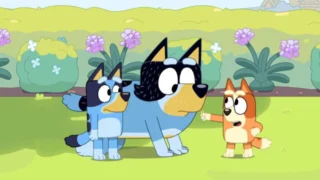 Bluey