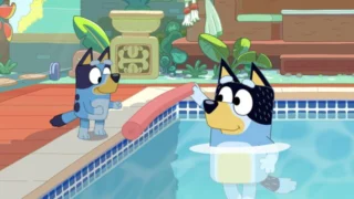 Bluey