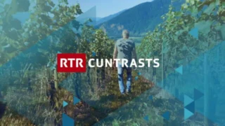 Cuntrasts