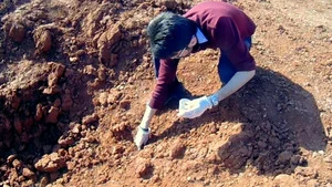 Syrie, la guerre toxique (La ligne rouge) S1 (n°1)
