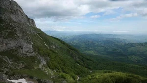 Le retour de l'Europe sauvage (Au chevet des ours d'Europe) S1 (3/6)
