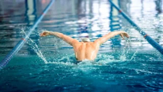 Natation : Championnats de France petit bassin