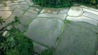 Les gardiens de l'eau