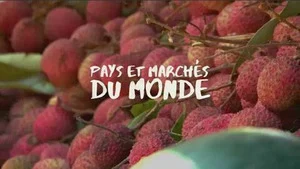 Pays et marchés du monde (Japon : Okayama) S4