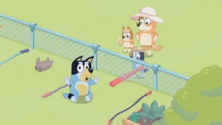 Bluey