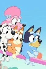 Bluey