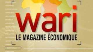 Wari