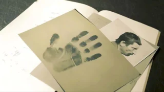Des crimes presque parfaits - Saison 7