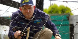 Australie: attrapeurs de serpents