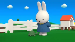 Miffy et ses amis
