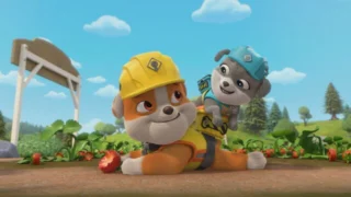 Ruben & Cie