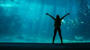 Nausicaá, dans les coulisses du plus grand aquarium d'Europe (Emission 5) S1 (5/8)