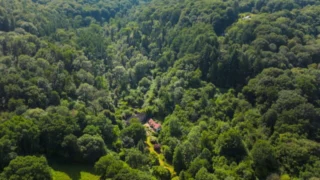 La vie secrète des jardins britanniques