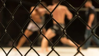 MMA : UFC