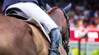 Au Coeur Des Courses