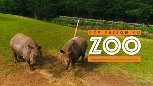 Une saison au zoo S13 (n°1)