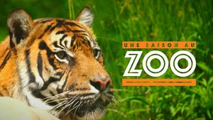 Une saison au zoo S14 (n°42)