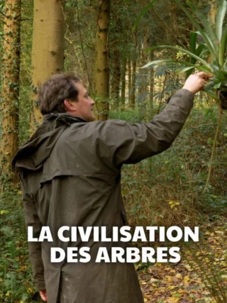 La civilisation des arbres