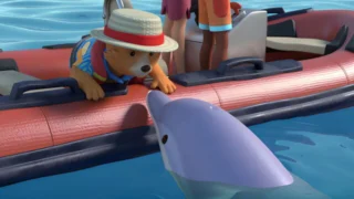 Les aventures de Paddington