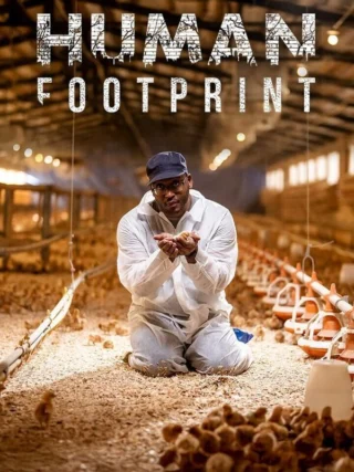 Human footprint