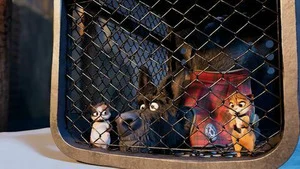 Mystery Lane (Le serval de la Tamise) S1 (8/26)