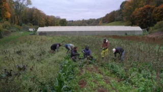 Sénat en action
