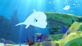 Oum le dauphin blanc