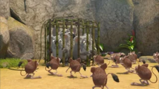 Les as de la jungle à la rescousse