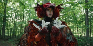 Drazilion