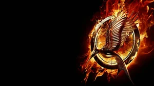 Hunger Games : l'embrasement