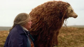 A Bear Remembers