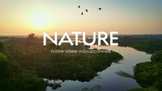 Nature, notre alliée insoupconnée