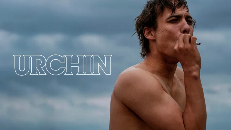 Urchin