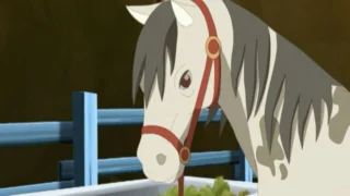 Le ranch