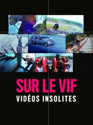 Sur le vif : vidéos insolites