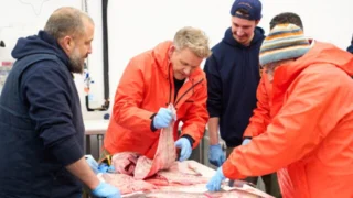Gordon Ramsay : mission extrême