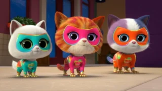 SuperChatons