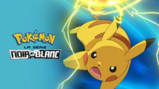 Pokémon: Noir et Blanc