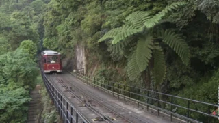 Des trains pas comme les autres