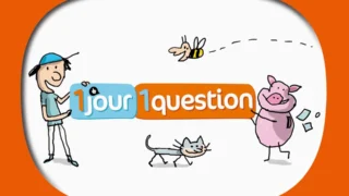 Un jour, une question