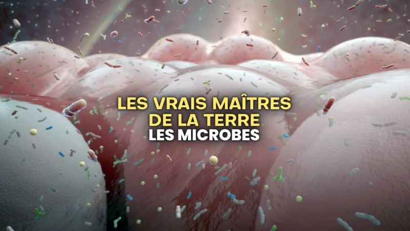 Les vrais maîtres de la Terre : Les microbes