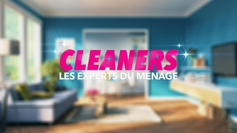 Cleaners les experts du ménage