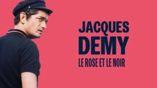 Jacques Demy, le rose et le noir